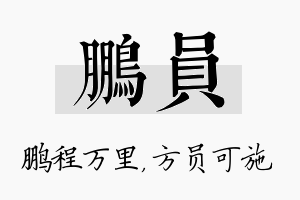 鹏员名字的寓意及含义